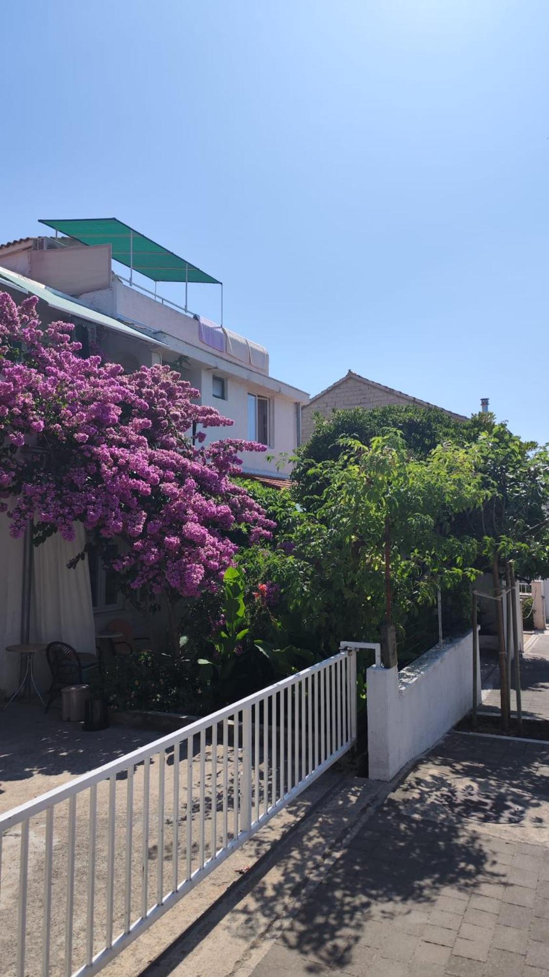 Apartments Suri Vodice Buitenkant foto